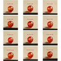 8mm 10mm Natural Stone Red Carnelian Carving 12 Constellations Black Red Agate Crystal Loose Beads for DIY Jewelry Making