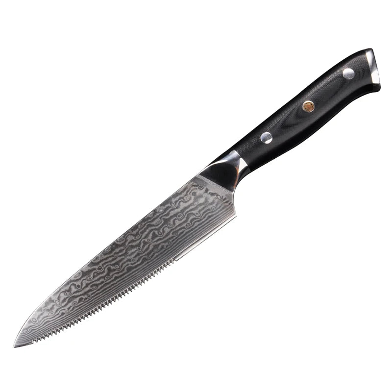 Damascus VG-10 Steel 67 Layers Kitchen Steak Knife Set 5 Inch Serrated Steak Knife with G10 Handle