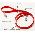 Best Selling Fashion Adjustable Heavy Duty Dog Leash Flexible Waterproof UV-Resistant TPU 2 Hooks Welded O Ring Training Nylon