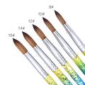 IPHF All Size Nail Art Brush Case Kolinsky Sable Hair Acrylic Nail Brush Kolinsky Nail Brush Germany