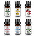 Rose Essential Oil Hot Sale Certified Top Quality100% Pure Plant Essential Oil 10ml Natural for Candle Diffuser Making