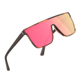 2026 New Fashion Polarized Sunglasses with Wood Temple Custom Logo Wholesale Price Futuristic PC Frame