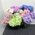 M553 Handmade Artificial Silk Hydrangeas in Blue Green White Pink Wedding Home Decorations with Real Touch for Mother's Day