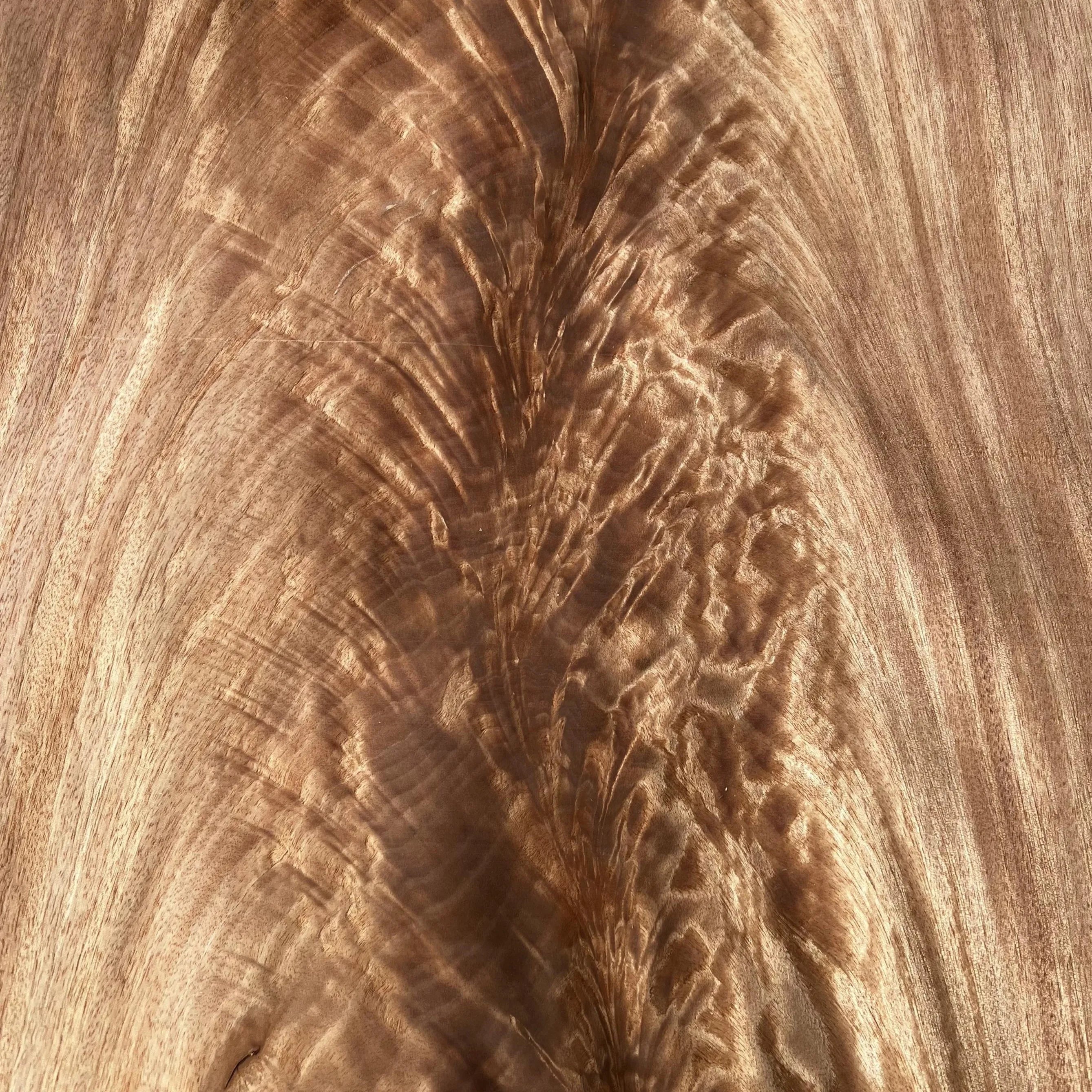 New Arrival A/AA Grade Natural Okoume Crotches Veneers Plywood Fork Veneers Okoume Wood Veneers for Flooring Furniture