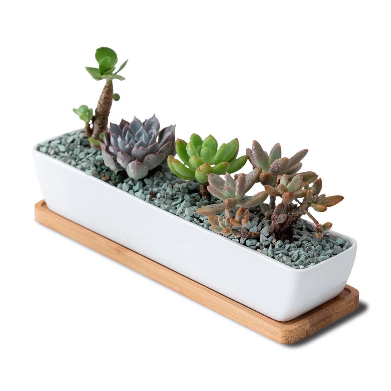 Long Rectangle White Ceramic Succulent Planter Pots Mini Flower Plant Containers With Bamboo Saucers