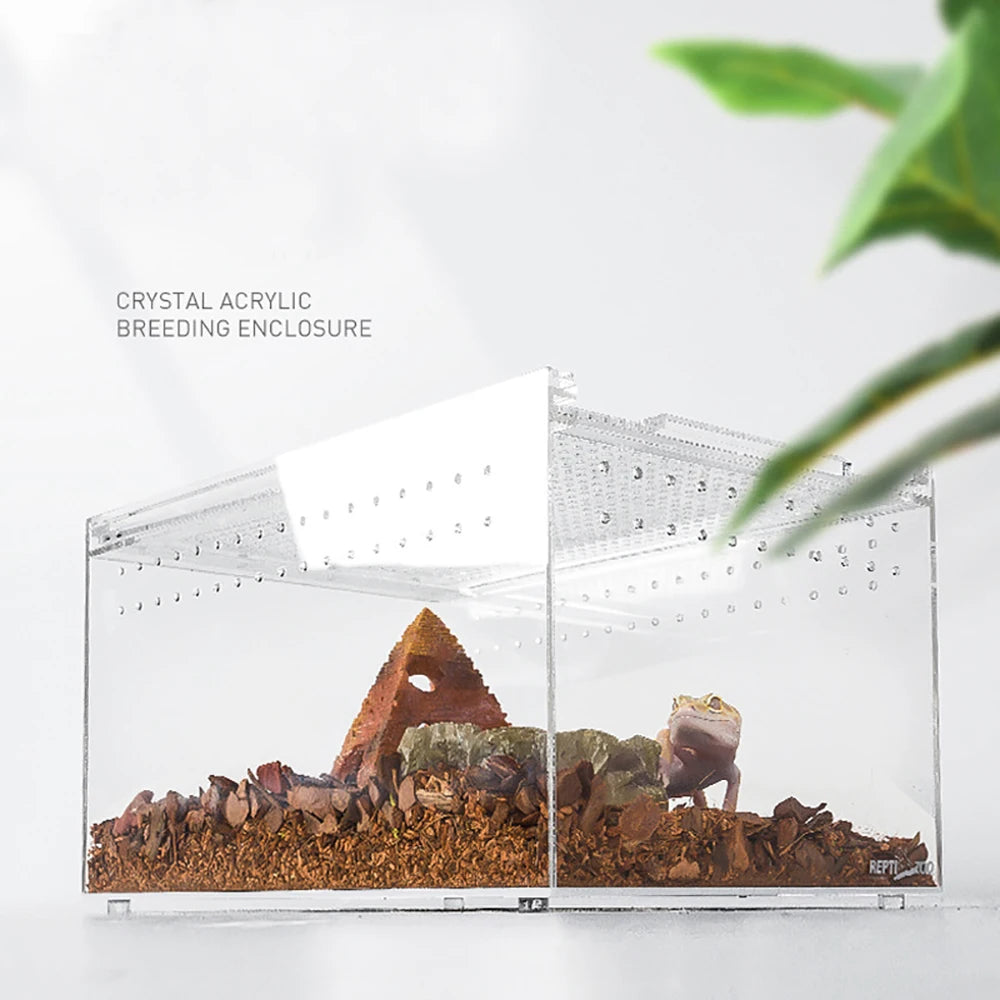 Wholesale clear Acrylic Pet Box Acrylic Feeding Insect Reptile tank Terrarium Box