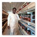 Poultry Farm Animal Cages Chicken Hens Breeding Laying Cage Equipment Egg Layer Automatic for Sales Battery Layer Chicken Cage
