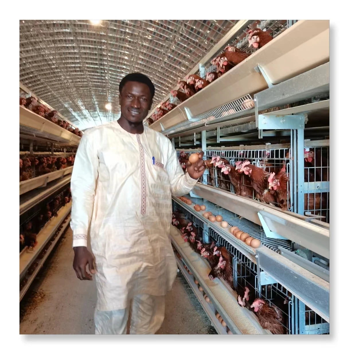 Poultry Farm Animal Cages Chicken Hens Breeding Laying Cage Equipment Egg Layer Automatic for Sales Battery Layer Chicken Cage