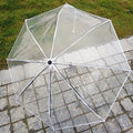 Automatic 3 Folding Rainy Umbrella Transparent Clear Black Handle Umbrellas POE PVC EVA Printing Printing Straight Umbrella