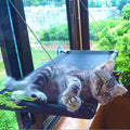 ZMaker Wholesale Custom Breathable Pet Cat Hammock Window Hanging Cat Hammock Bed