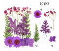 Wholesale Handicraft Flower Real Dried Pressed Flowers Resin Flowers Set for Resin Jewelry Nail Art Pendant Crafts Candle Making