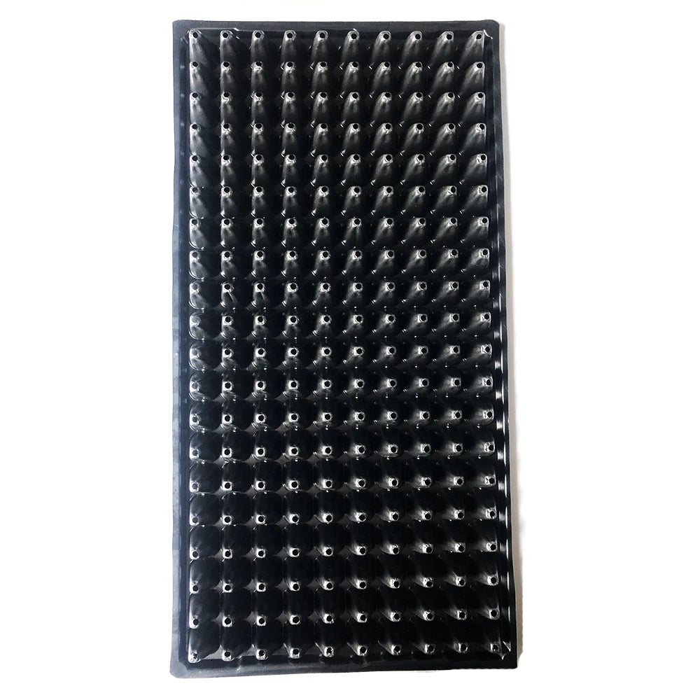 Chinese Factory Black Seedling Tray 200 Cells in Greenhouse