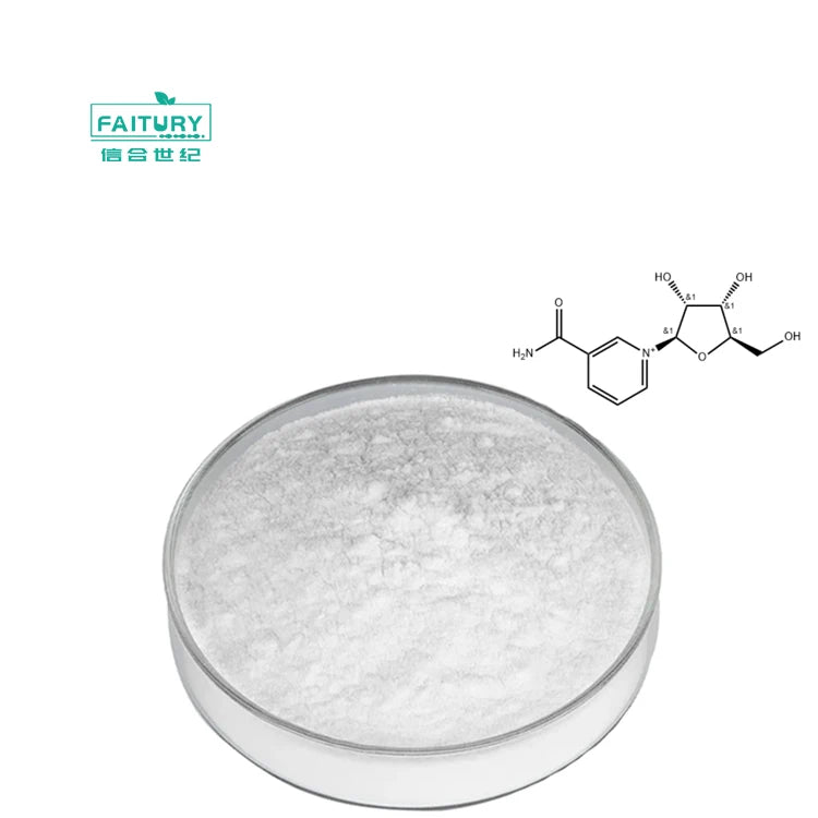 BCAA Powder 2:1:1 for Sport Supplements with Bulk Best Price
