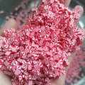 1000g DIY Craft Slime Sprinkles 5mm 10mm Christmas Red Cane Polymer Clay Sprinkles Slices