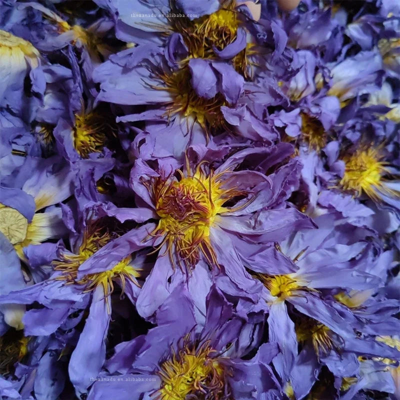 EU STANDARD Egyptian Smoking Blue Lotus Flowers Dried Nymphaea Caerulea Bulk Tea Dried Direct Supply | Test Report Available