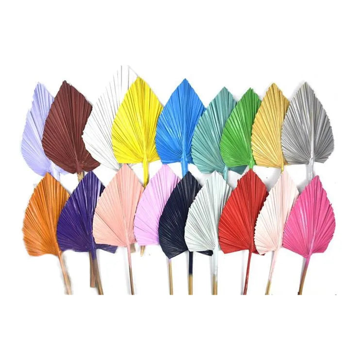 Colorful Dyeing Natural Fan Dried Palm for Wedding Arch