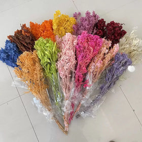 Ins Style Dried Flower Bouquet Eternal Preserved Flower Butterflies Art Decoration Christmas Thanksgiving Back School Long