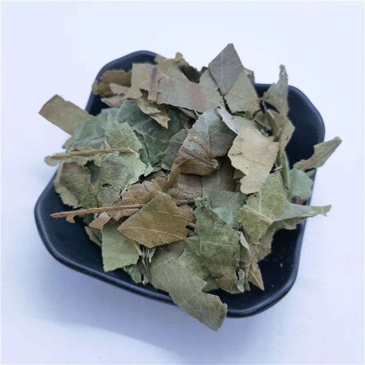 Pi pa Ye China Herb Natural Dried Loquat Leaf Loquat Leaves Tea for Clearing Lung