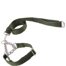 Wholesale Army Green Dog Chain/rope Necklace Collars and Leashes Set