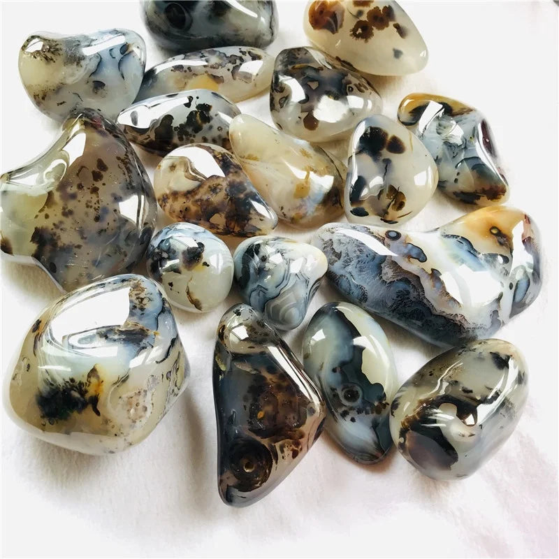 Wholesale Natural Polished Crystal  Stone Healing  Dentritic Agate Palm Stones for Decoration