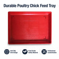 New Red PP Plastic Poultry Chicken Feeders and Drinkers 52x34cm Long Service Life Baby Chicken Broiler Feeding Tray MegaBDM