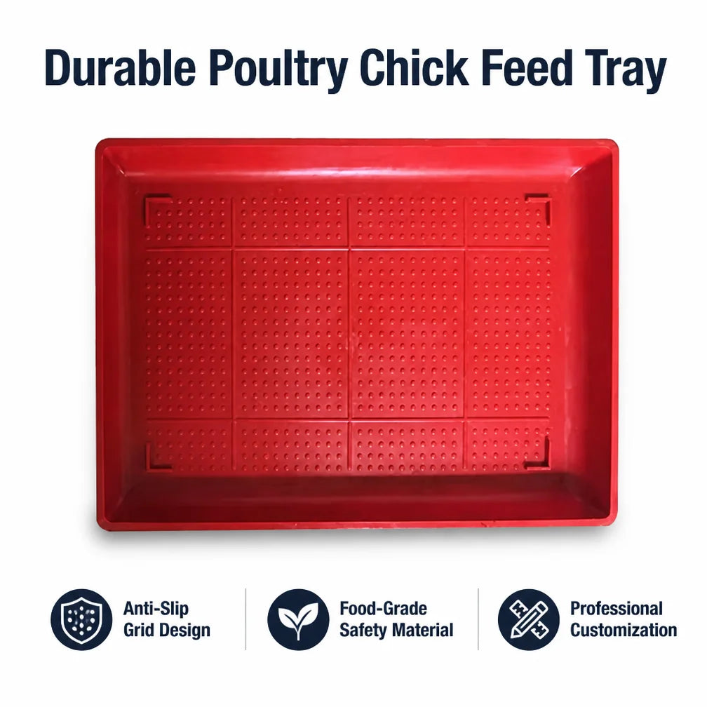 New Red PP Plastic Poultry Chicken Feeders and Drinkers 52x34cm Long Service Life Baby Chicken Broiler Feeding Tray MegaBDM