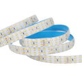 Wholesale DC12V 24V CRI90 SMD2835 240LED/M Stripe Lighting Tiras De Luces Flexible LED Tape