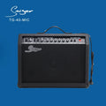 Professional Guitar Amp Speaker Factory Price Custom logo 40 Watt Lead Electric Guitar Amplifier