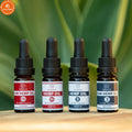 15ml Dropper Bottle Small Glass Oil Bottle With Cap