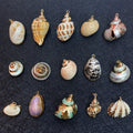 Summer Marine Life Ocean Beach Style Natural Shell Conch Pendant for DIY Necklace Jewelry Making