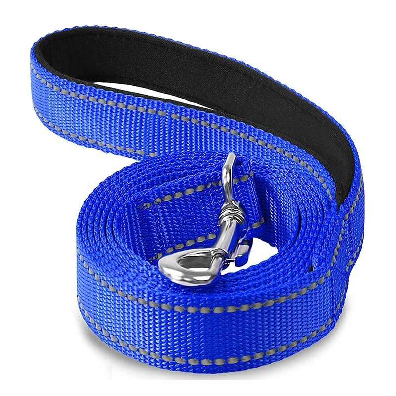 2021Hot Selling New Reflective Nylon Webbing Pet Dog Leash Outdoor Training Activities in  6FT/4FT Length