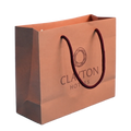 Wholesale Printed Paper Bags with Rope Handle Custom Luxury Paper Bag for Watch Packing