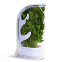 Kitchen Herb Spice Storage Box Anti-Pressure Plastic Fresh-Keeper for Coriander and Fresh Vegetables