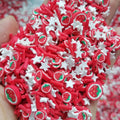 1kg DIY Craft Slime Supplies Polymer Sprinkles Fruit Slices Red Round Cherry Star Mix Polymer Clay Sprinkles