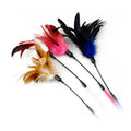 Spiral Long Rod Pheasant Feather Funny Cat Interactive Cat Toy Cat Teaser