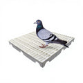 50*50*5cm Plastic Net Floor Mat for Pigeon Loft