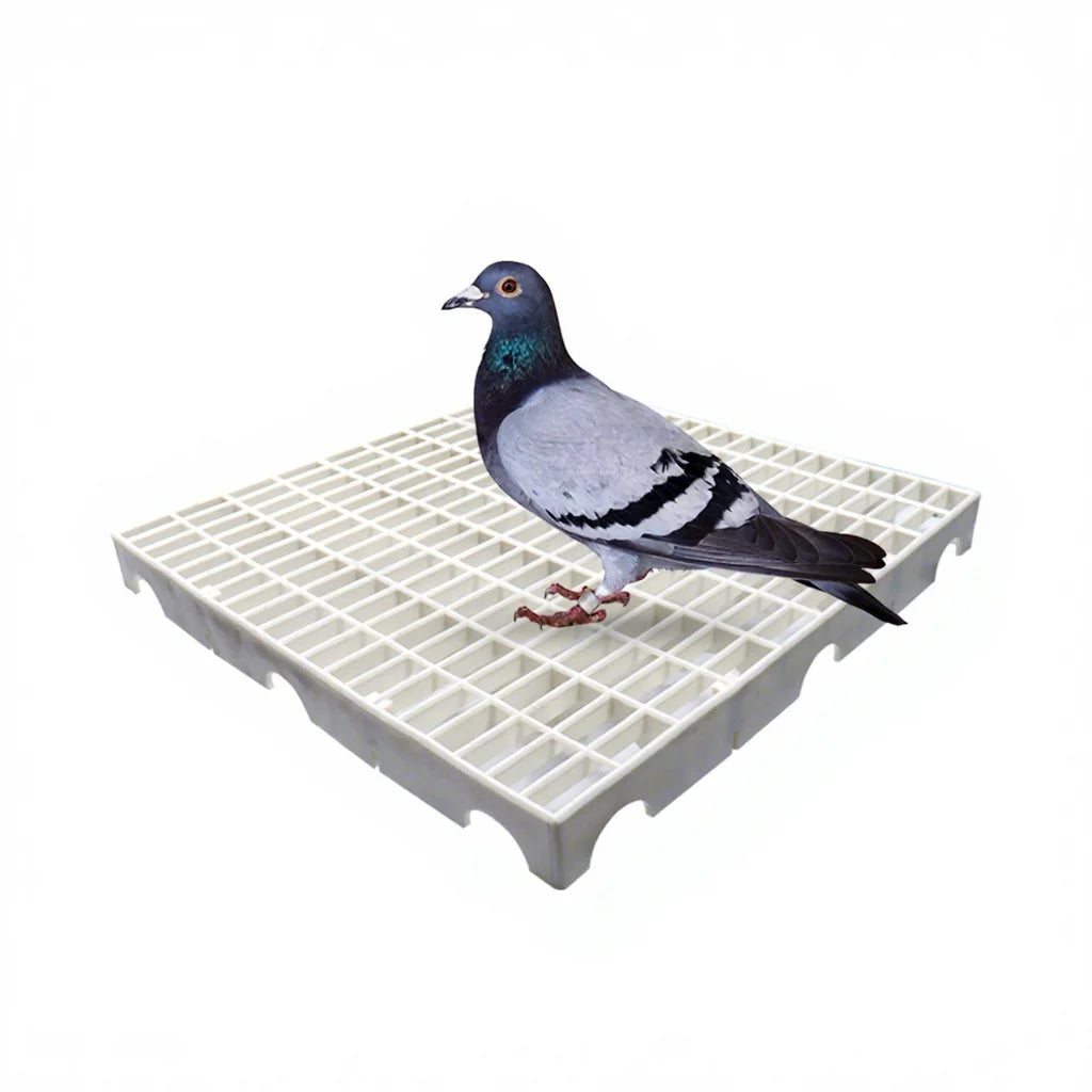 50*50*5cm Plastic Net Floor Mat for Pigeon Loft