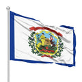 Factory Wholesale Custom 3X5 Feet Polyester Fabric Waterproof Padded Flag West Virginia Flag