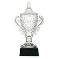 Crystal Bowl Trophy Award Winner Trophy Cup Crystal Glass Cup