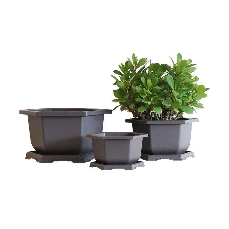 Factory Supply Durable Plastic Bonsai Training Pots