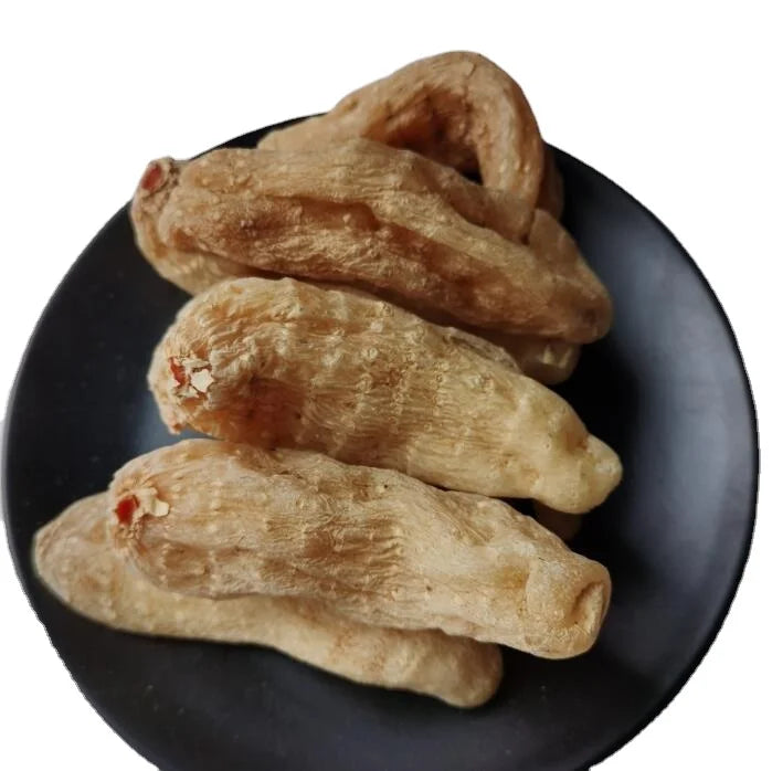 Special Herb TIan Ma Real Big Dried Natural Root Gastrodia Elata Rhizome for Sale