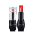 Private Label Heart Shape Lipstick 12 Color Matte Organic Lipstick Beauty  Makeup Lasting Make Your Own Cat Tube Lipsticks