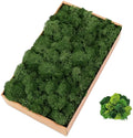 Hot Selling Wholesale Natural Moss Panel Box Preserved Fresh Grass Wall Decoration with Preserved Decorative Flowers
