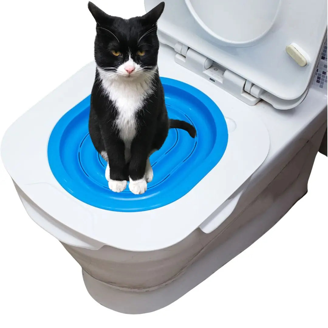 Teach Your Cat New Tricks Eco-Friendly ABS Cat Toilet Training Solution Made in Zhejiang