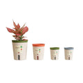 Dia.10.6*H.12.8cm Two Parts Set Colorful Round Lazy Pot Vertical Plastic Self-watering Pot
