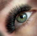 Soft Volume Lashes 0.03 0.05 0.07 0.1 0.12 0.15 0.18 0.2 0.25mm C CC D DD M L Curl Russian Volume Eyelash Extensions