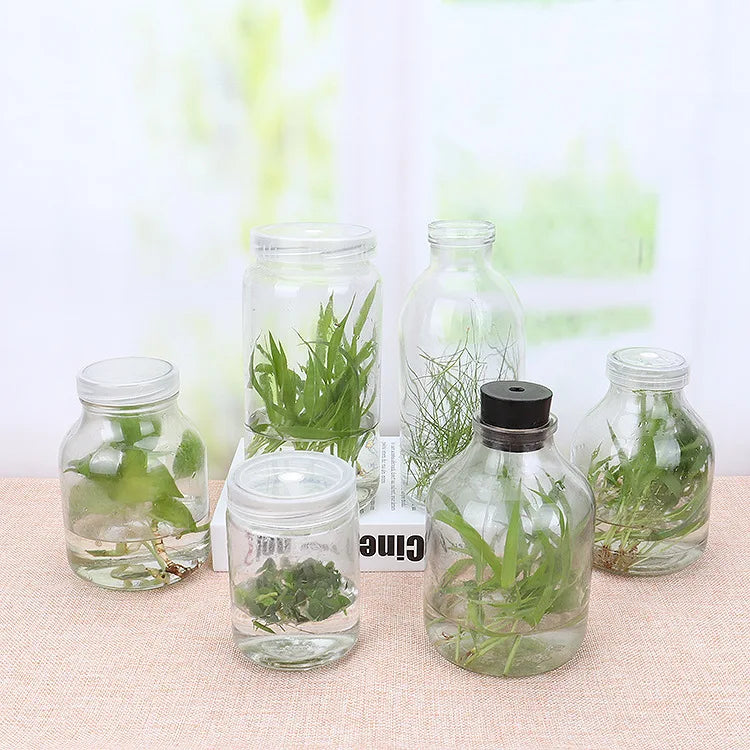 480ml Empty Phalaenopsis Orchid Seedling Greenhouse Equipment Screw Cap Flasks for Sale