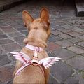 Wholesale Custom Classic Adjustable Dog Leather Harness and Leash Set  Breathable Pet Harness Angel wings for Dog