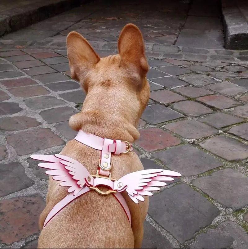Wholesale Custom Classic Adjustable Dog Leather Harness and Leash Set  Breathable Pet Harness Angel wings for Dog