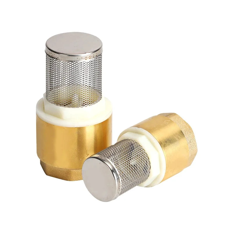 OEM Vertical Spring Check Valve Filter Normal Temperature Stainless Steel Brass 2in Female Thread for Water 3-Year General